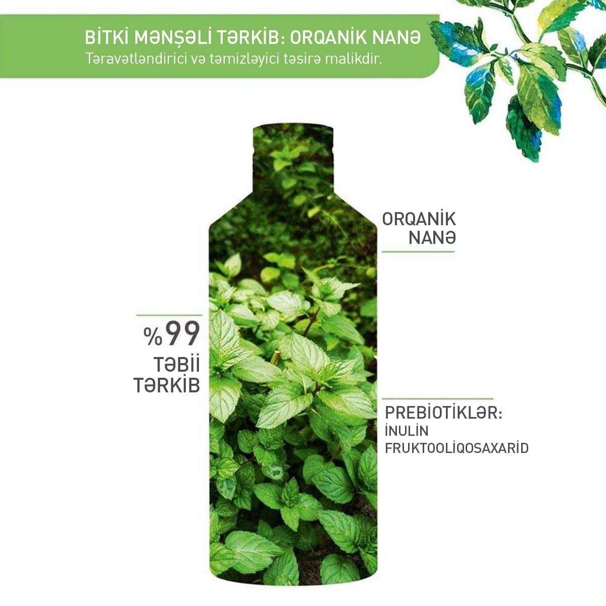 The Purifying Makeup Removing Micellar Water Pure Menthe, 400 ml