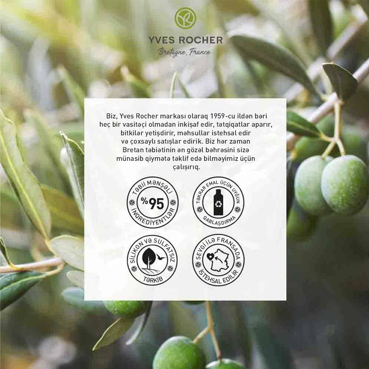 Olive & Petit Grain Bath and Shower Gel, 200 ml