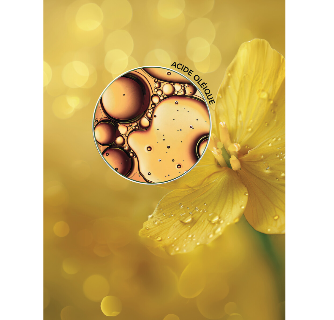 Bitki Mənşəli Qidalandırıcı Maska 200 ml