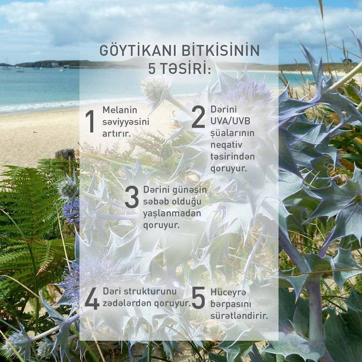 Günəşdən qoruyucu süd, SPF 50