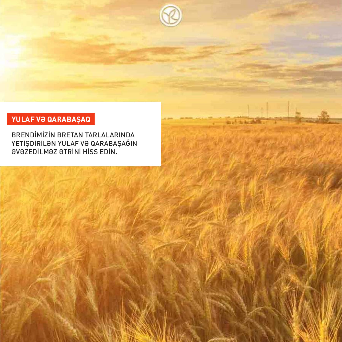 Bədən üçün yulaf və qarabaşaq əsaslı losyon, 390 ml