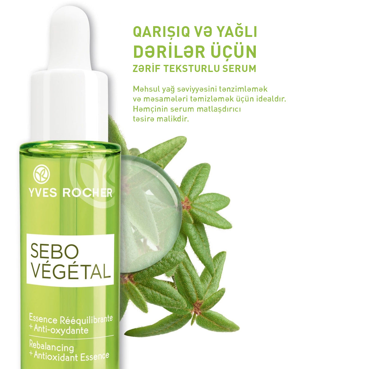 Yağlı dəri üçün antioksidant təsirli bərpaedici essensiya, 30 ml