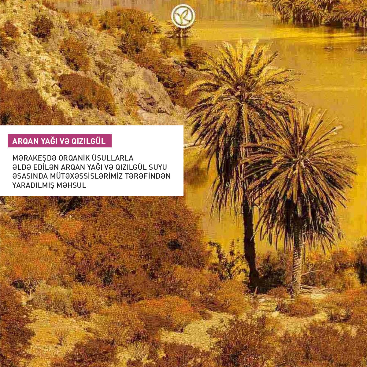 Bədən üçün arqan yağı və qızılgül əsaslı losyon, 390 ml