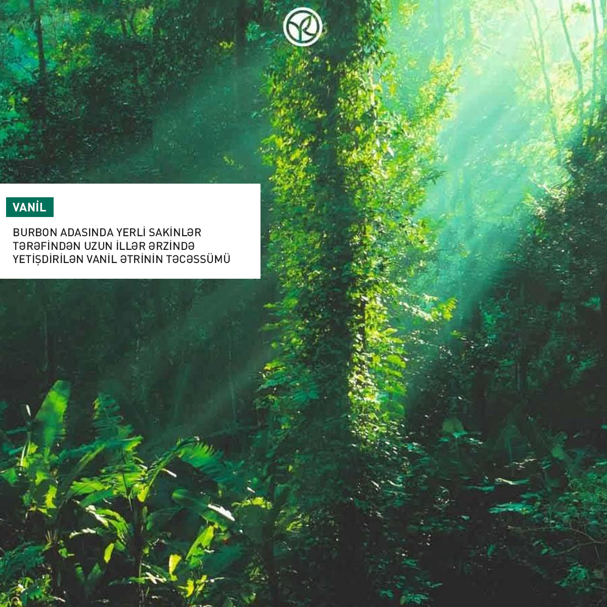 Burbon vanili ətirli əl kremi, 30 ml