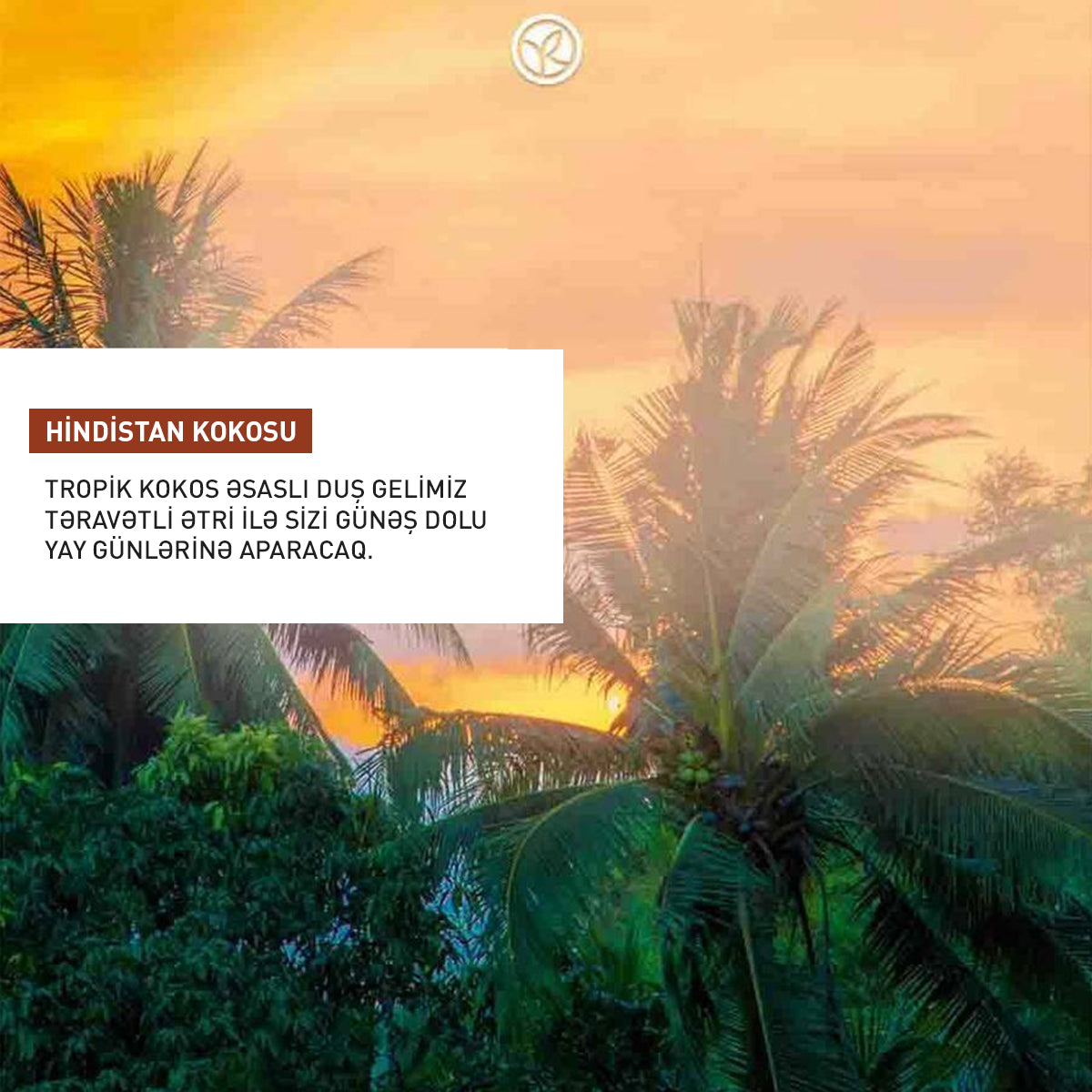 Kokos ətirli konsentratlaşdırılmış duş geli, 100 ml