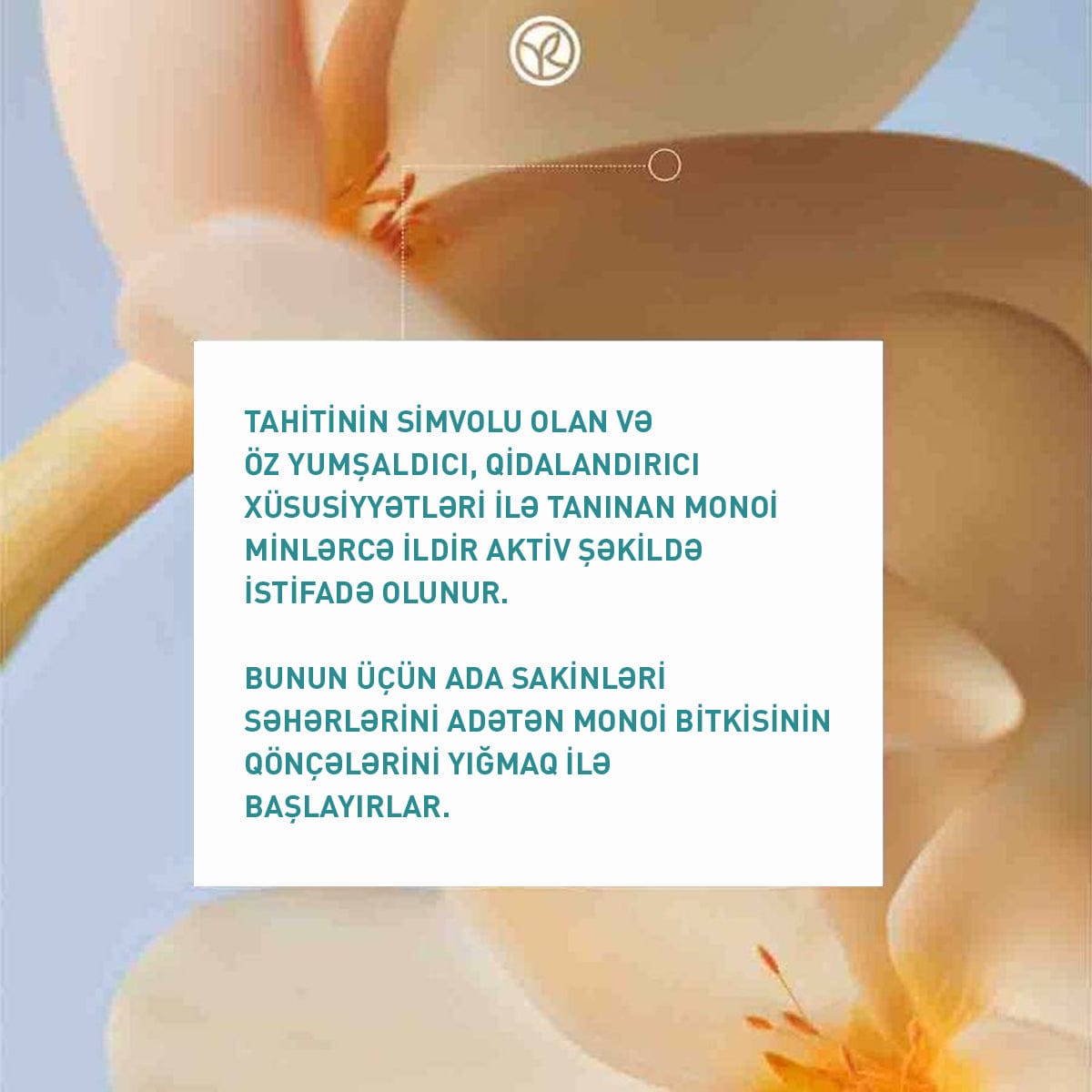 Bədən üçün quru Monoi yağı, 125 ml