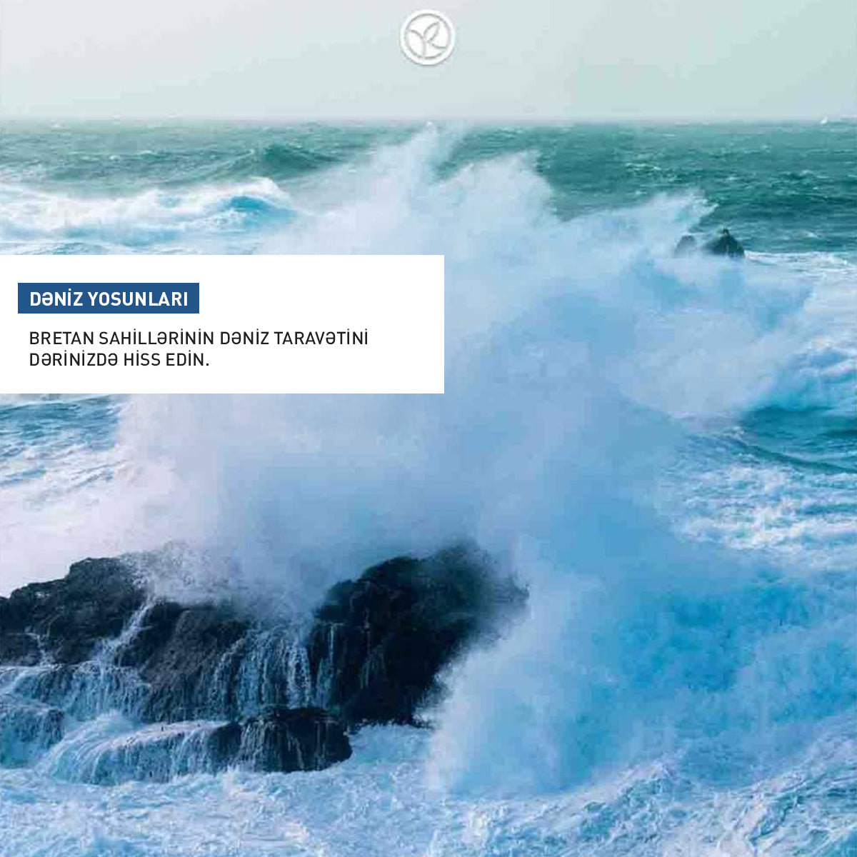 HAND CREAM WILD ALGAE & MARINE CRISTE 30ML TUBE -