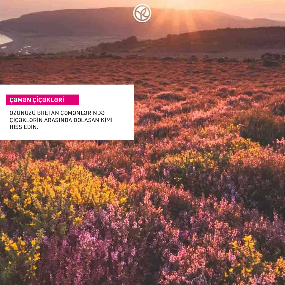 HAND CREAM FIELDS' FLOWER & HEATHER 30ML TUBE -