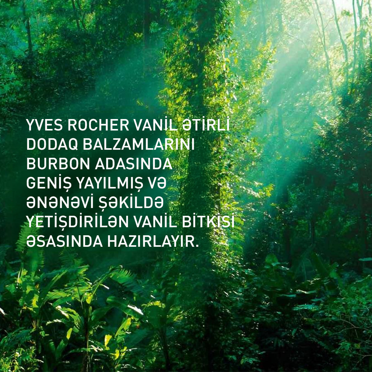 LIP BALM VANILLA 4,8G STICK -