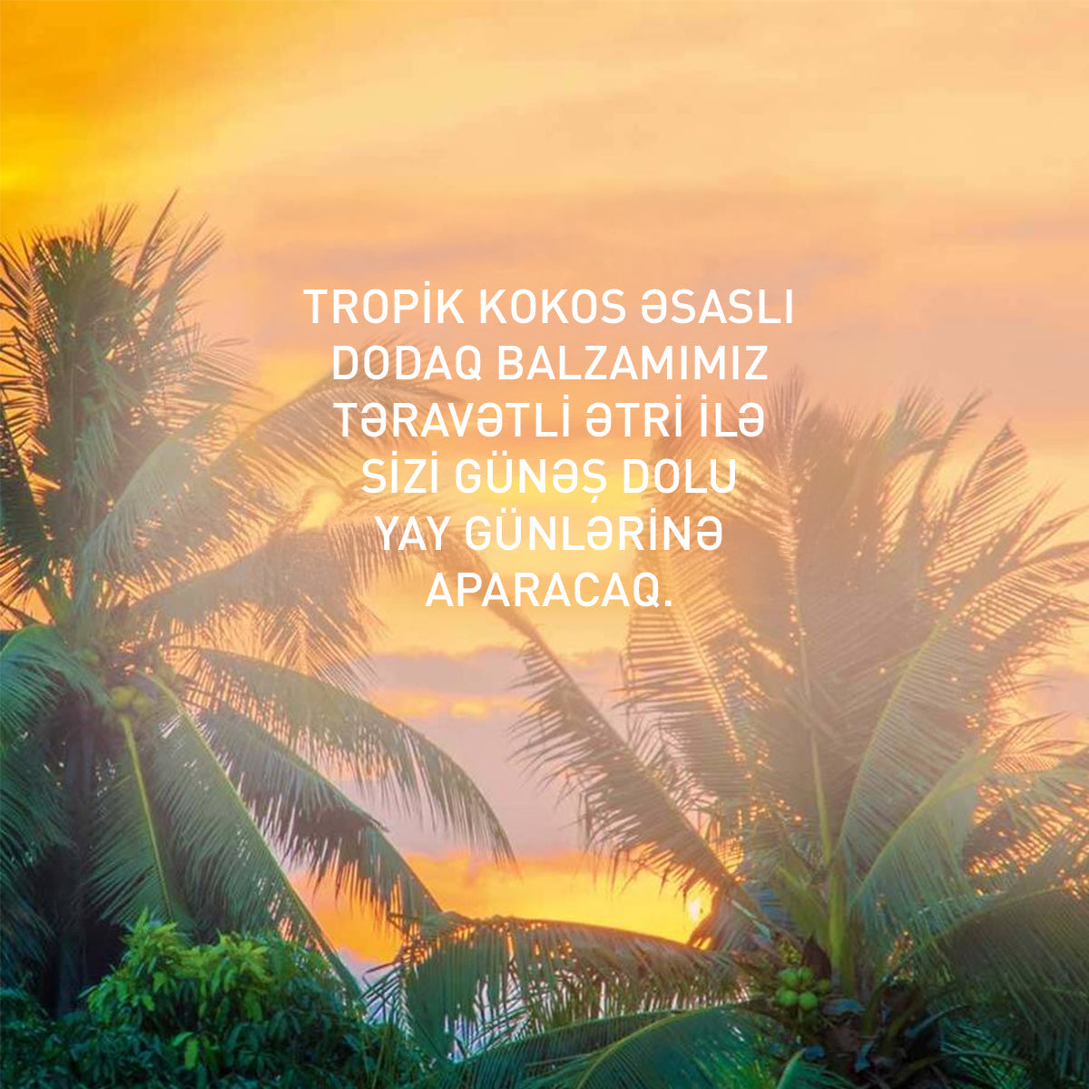 Kokos ətirli dodaq balzamı, 4.8 qr