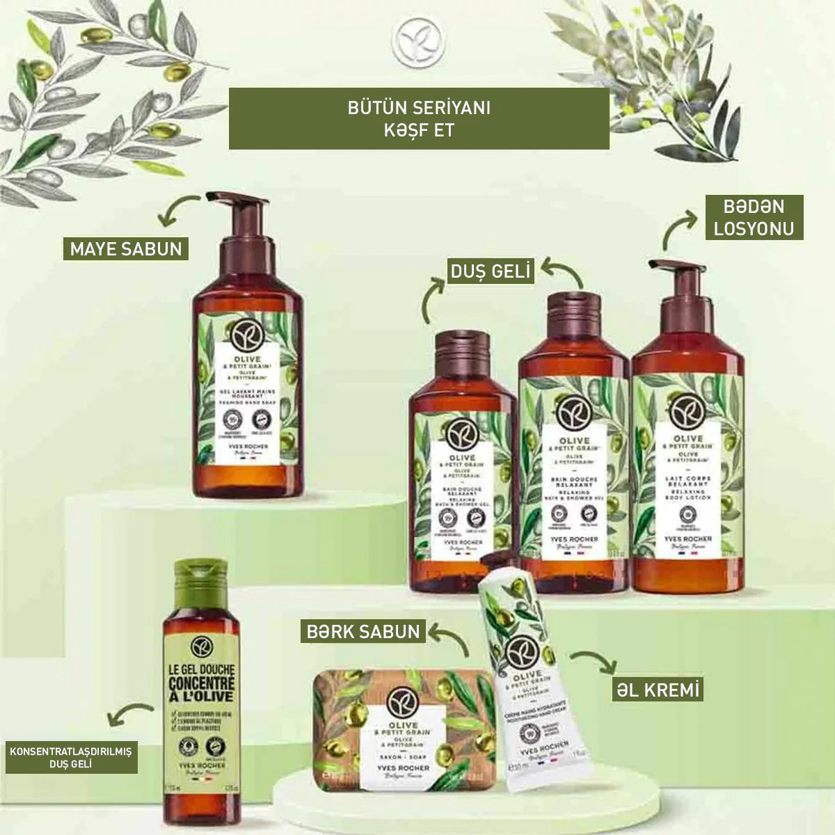 Zeytun əsaslı konsentratlaşdırılmış duş geli, 100 ml