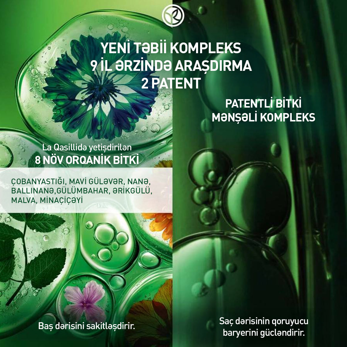 Equilibre baş dərisi üçün serum 50 ml