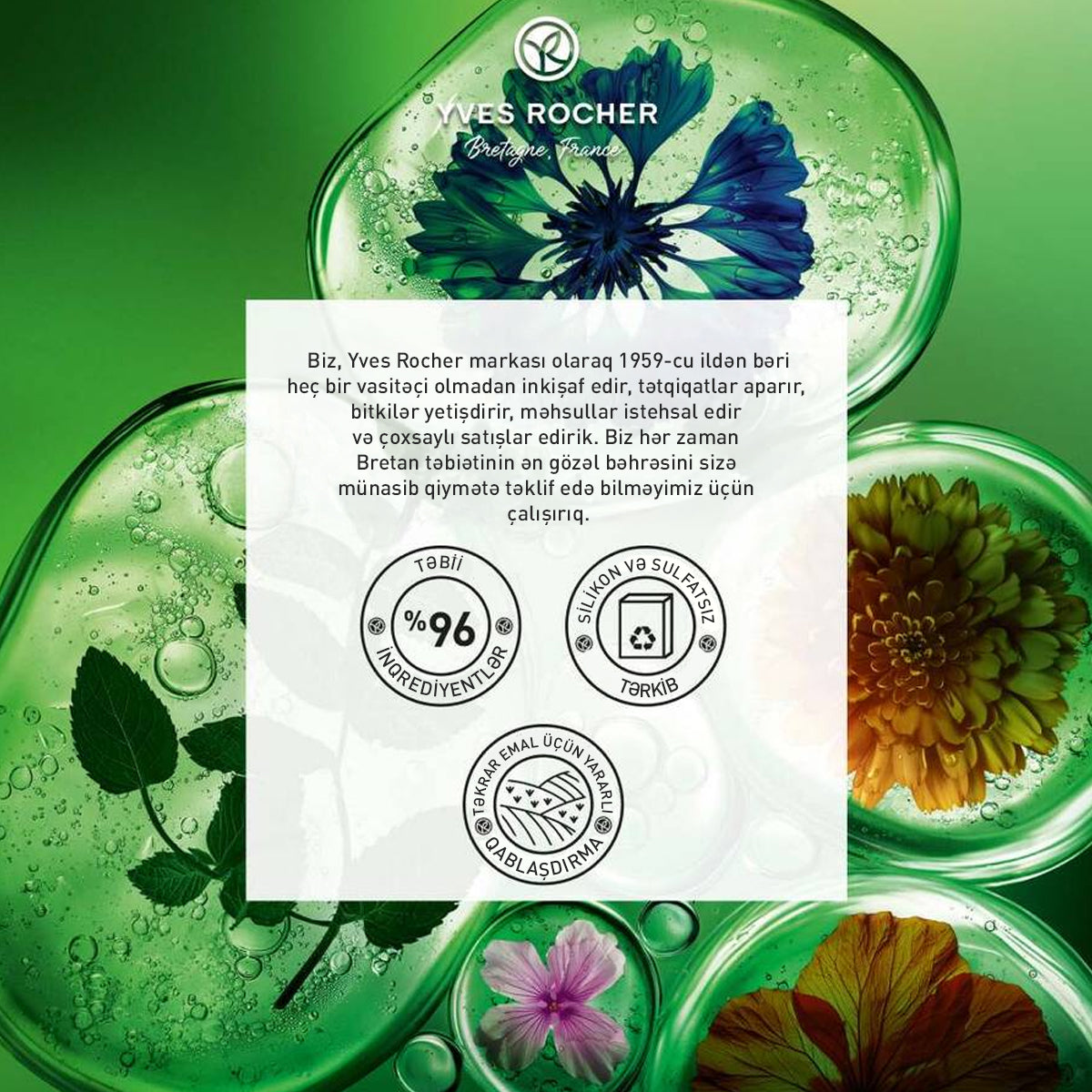 Equilibre baş dərisi üçün serum 50 ml