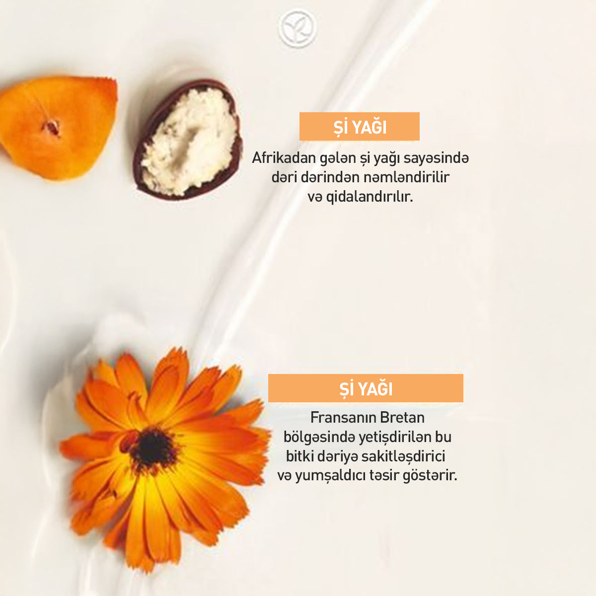 Bədən üçün bərpaedici süd, 390 ml