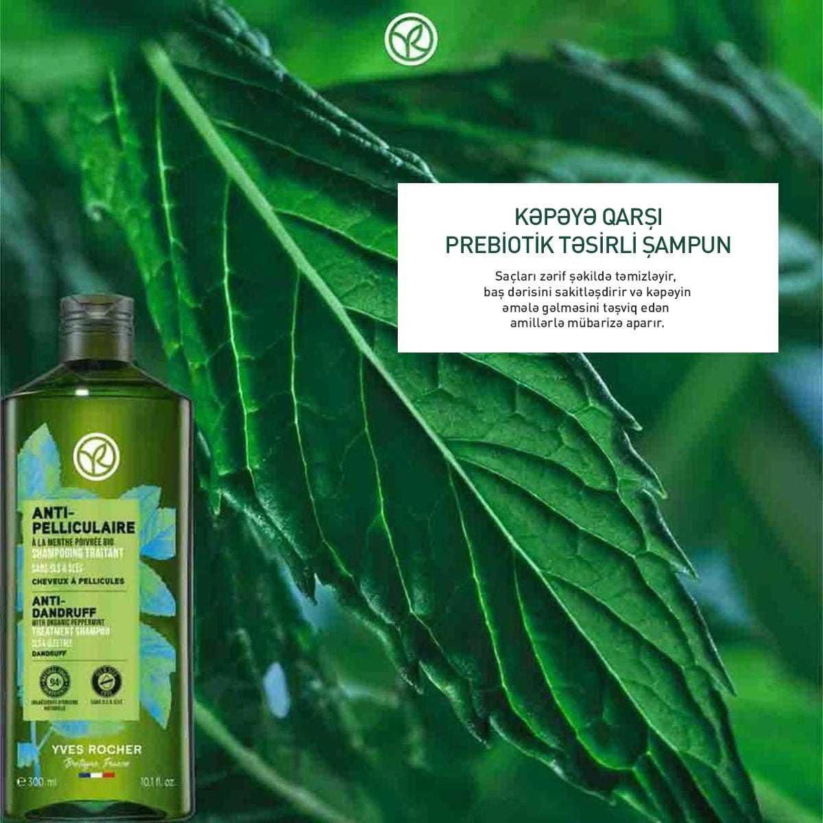 Anti - Dandruff Shampoo, 300 ml - Yves Rocher Azerbaijan