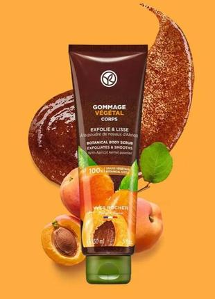 Ərik çəyirdəyi tərkibli bədən skrabı, 150 ml