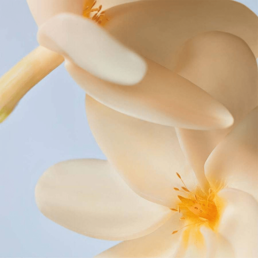 Bədən üçün parfümlaşdırılmış Monoi spreyi, 125 ml