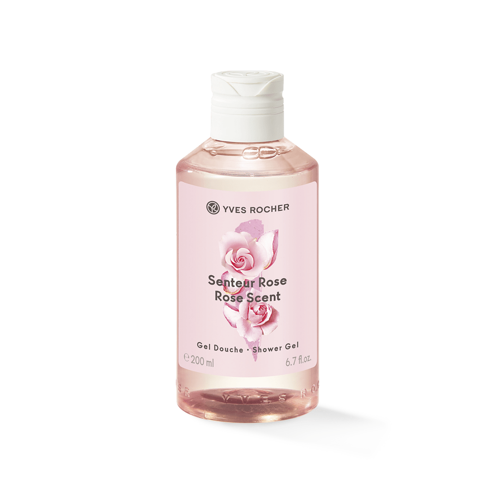 The delicate freshness of a Rose