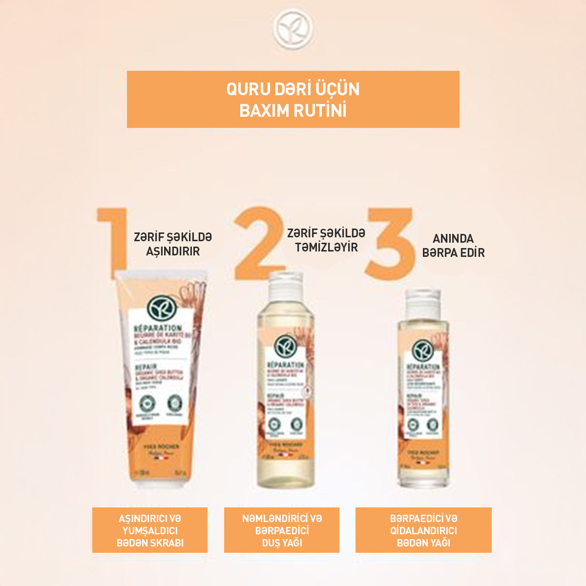 Bədən üçün bərpaedici yağ, 100 ml