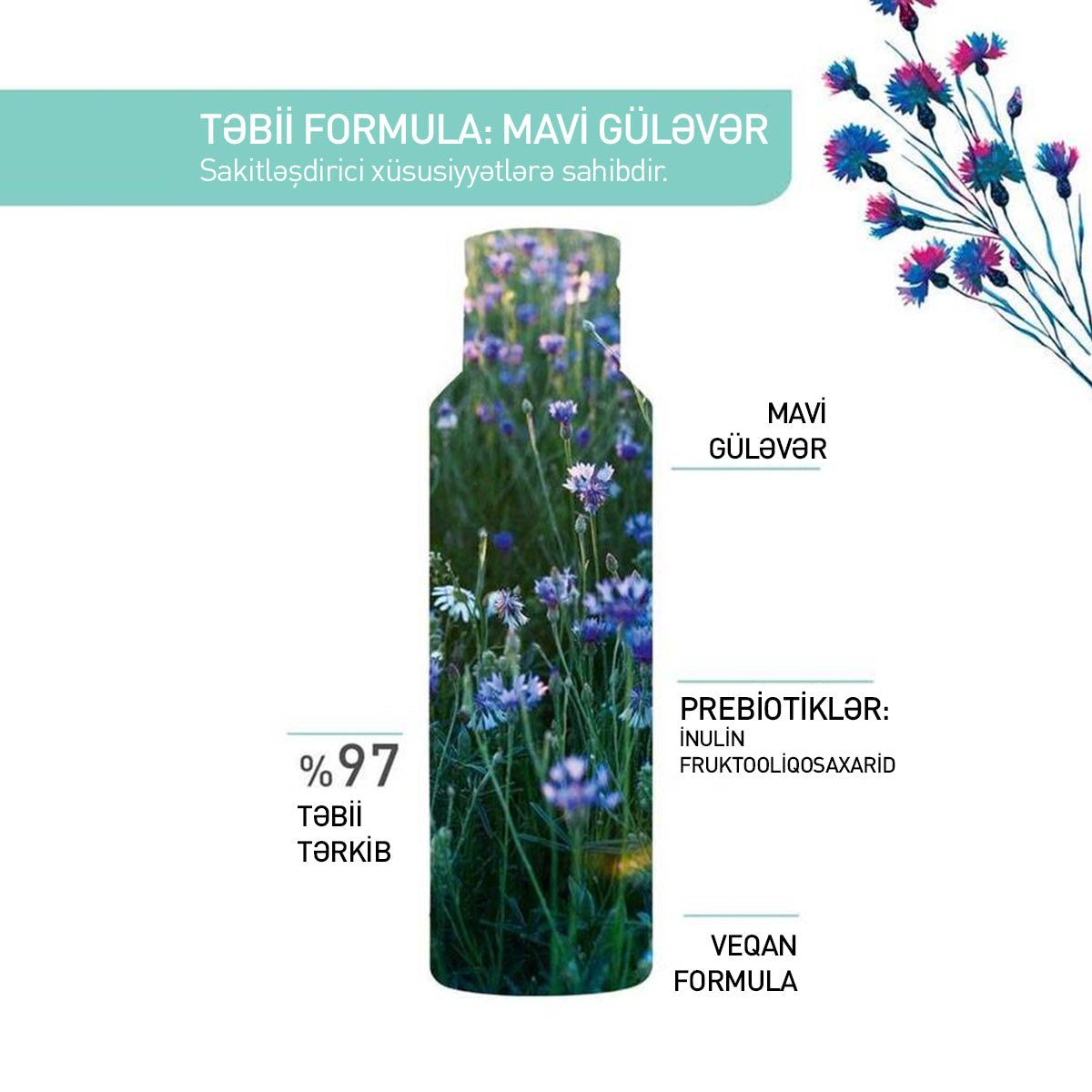 Pur Bleuet makiyaj təmizləyici vasitə, 100 ml
