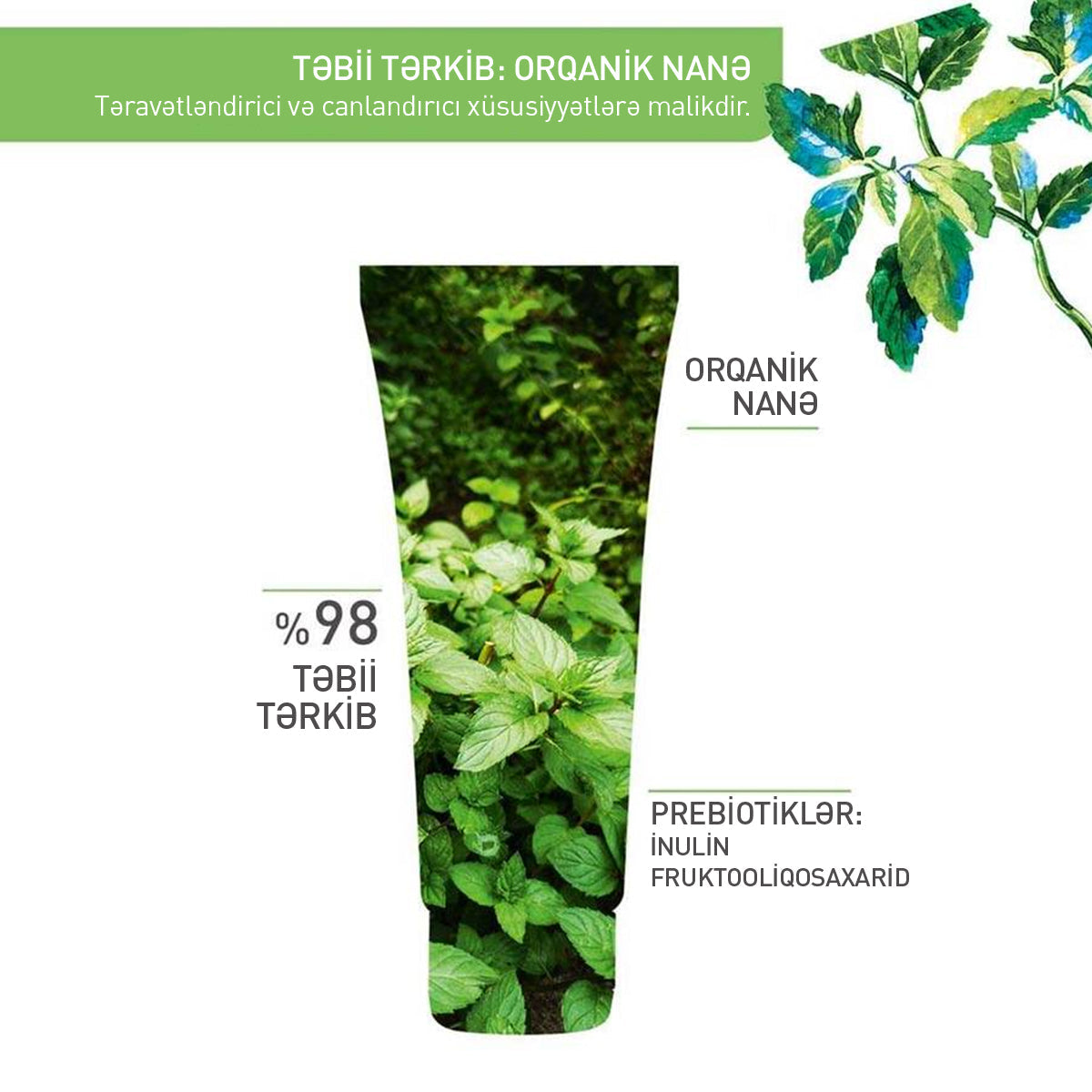 The Pore Cleaning Charcoal Mask Pure Menthe, 75 ml